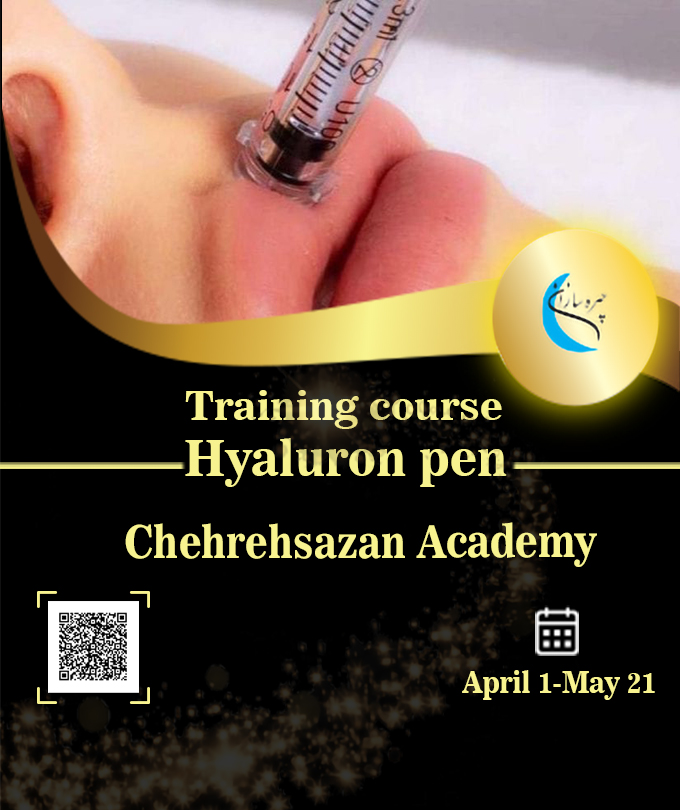 Course, training, Hyaluron Penn, Academy of Face Makers with an international degree