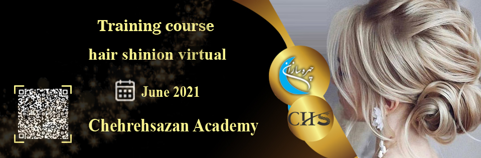 Shinion training course, Shinion training, virtual Shinion course, Shinion training course certificate, professional Shinion training technical certificate, Shinion training video