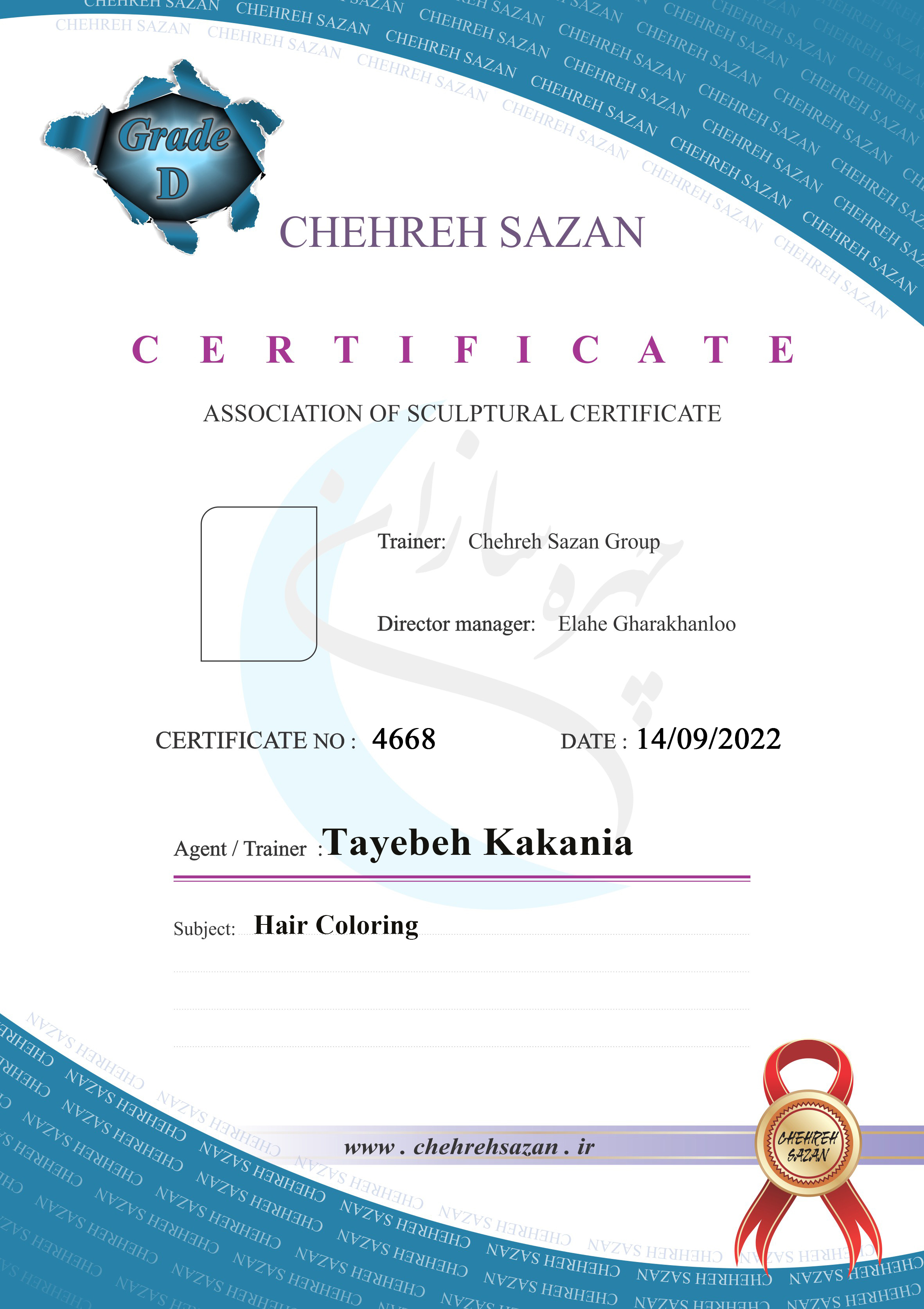 Tayebeh kakania , Hair coloring courses , hair coloring certificate 